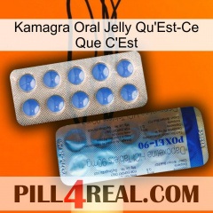Kamagra Oral Jelly What Is It 40